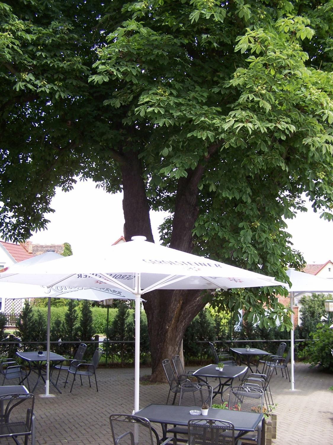 Hotel Glindenberger Hof Exterior photo